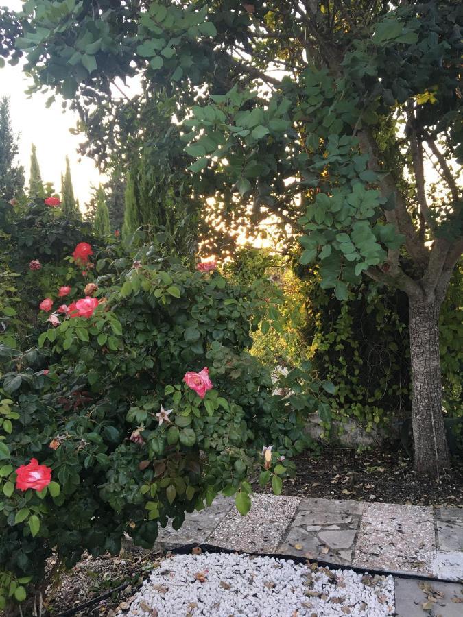 Demelida Villa In Tsada, Paphos Tsadha Bagian luar foto