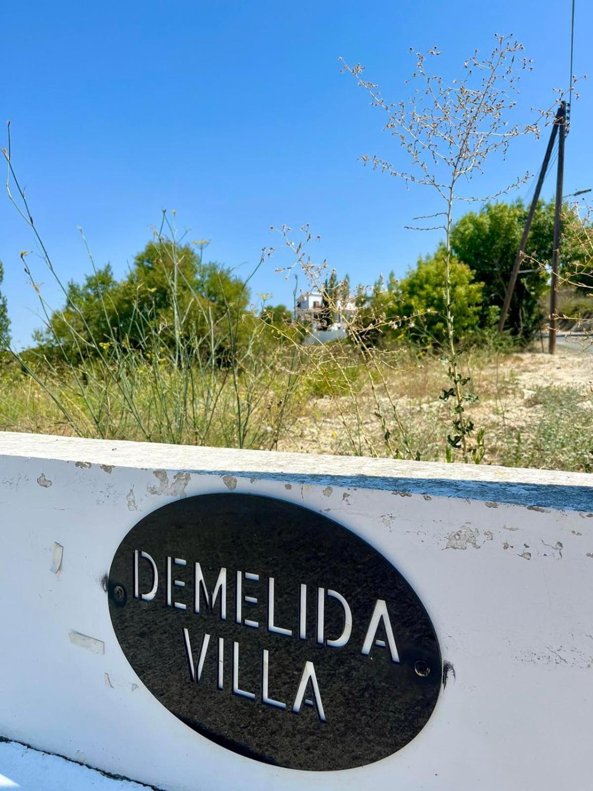 Demelida Villa In Tsada, Paphos Tsadha Bagian luar foto